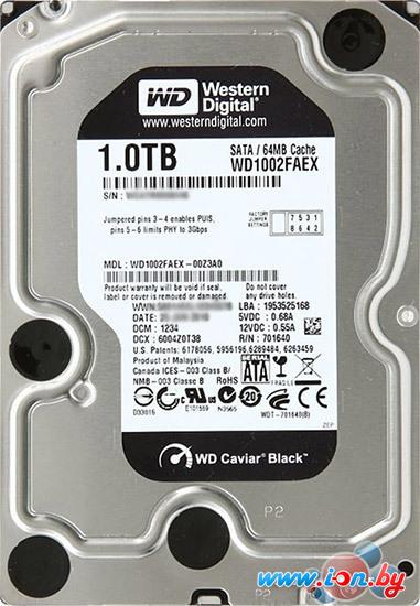 Жесткий диск WD Caviar Black 1 Тб (WD1002FAEX) (восстановленный) в Могилёве