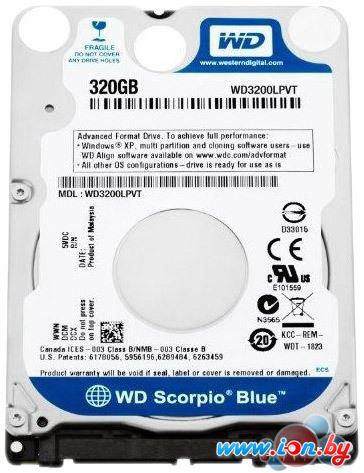 Жесткий диск WD Blue 320GB (WD3200LPVX) в Могилёве