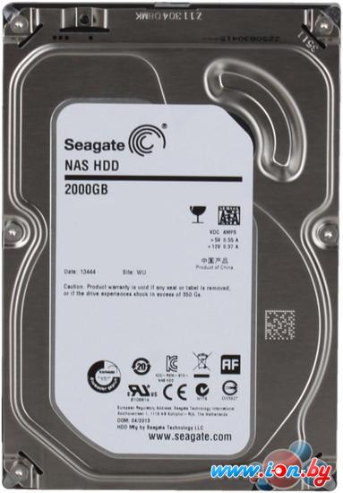 Жесткий диск Seagate NAS HDD 2TB (ST2000VN000) в Гомеле
