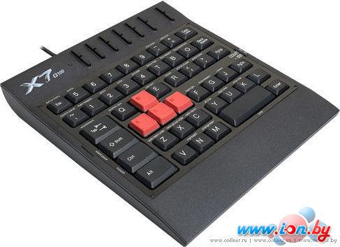 Клавиатура A4Tech X7-G100 в Бресте