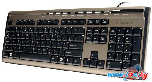 Клавиатура Gigabyte GK-K6150 в Могилёве