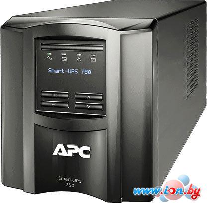 Источник бесперебойного питания APC Smart-UPS 750VA LCD 230V (SMT750I) в Бресте