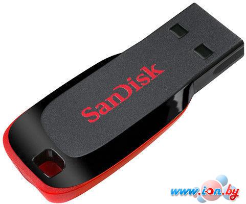 USB Flash SanDisk Cruzer Blade 8 Гб (SDCZ50-008G-A11) в Могилёве