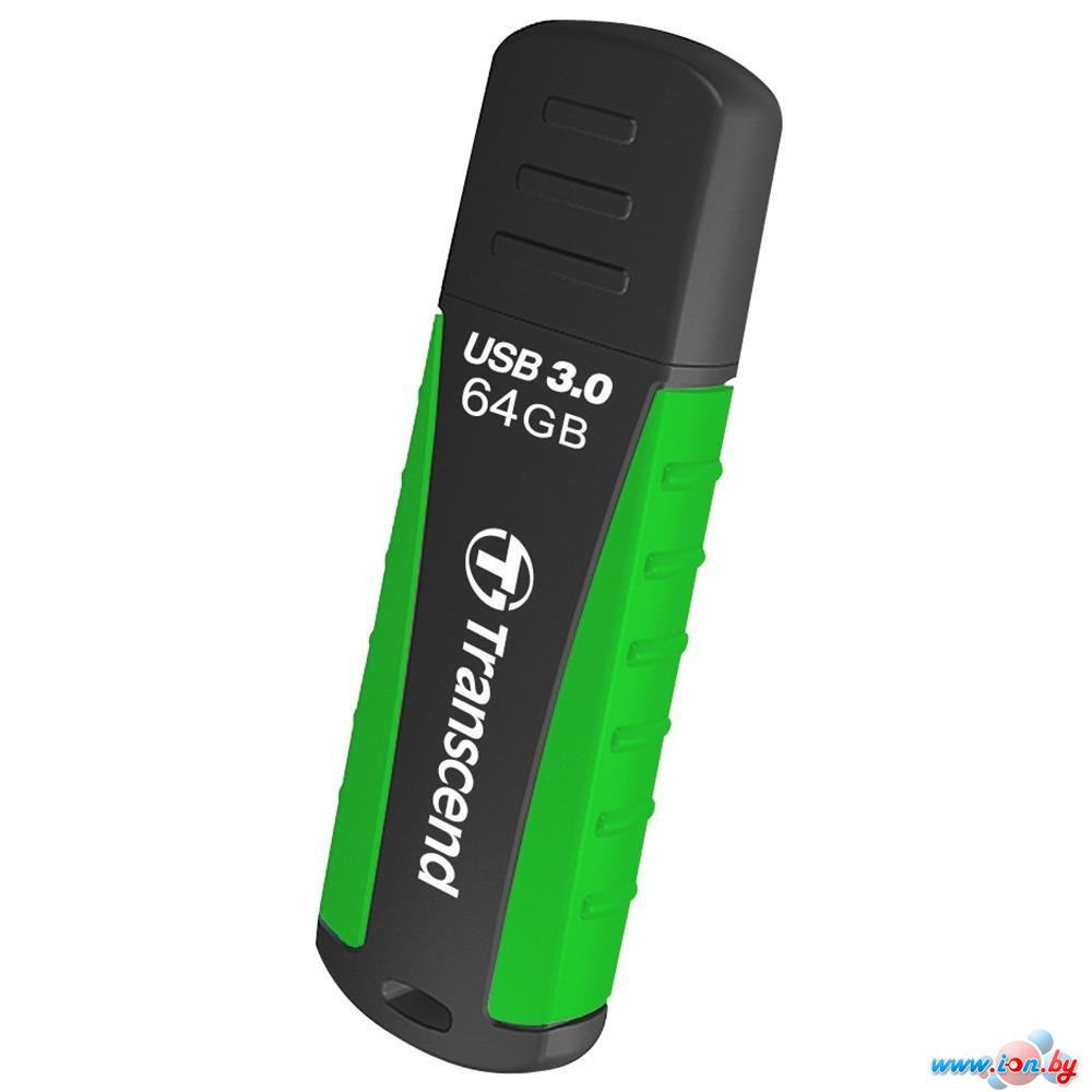 USB Flash Transcend JetFlash 810 Black-Green 64GB (TS64GJF810) в Гомеле
