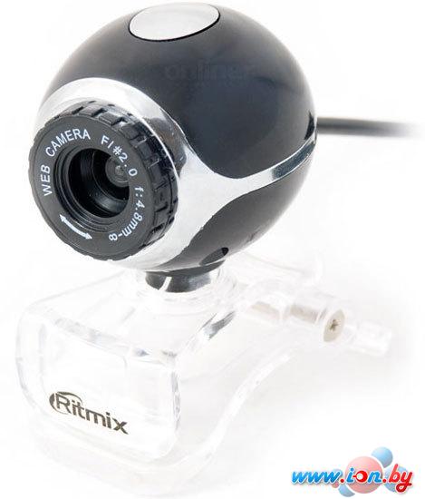 Web камера Ritmix RVC-015M в Могилёве