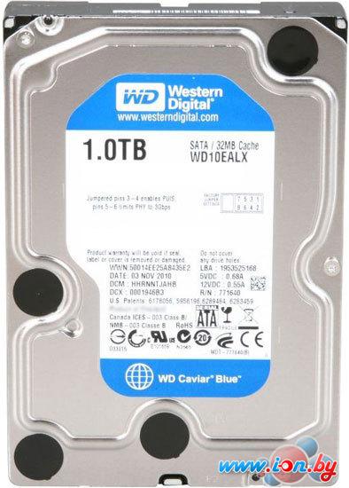Жесткий диск WD Caviar Blue 1 Тб (WD10EALX) (восстановленный) в Могилёве
