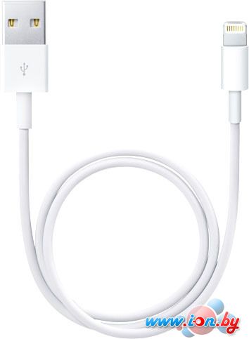 Кабель Apple Lightning to USB 0.5 м (белый) [ME291ZM/A] в Могилёве