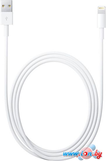 Кабель Apple Lightning/USB MD819 в Бресте