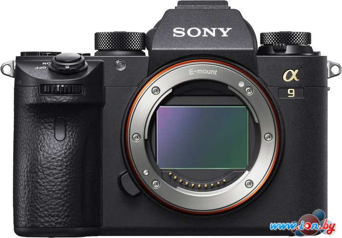 Фотоаппарат Sony Alpha a9 Body [ILCE-9] в Бресте