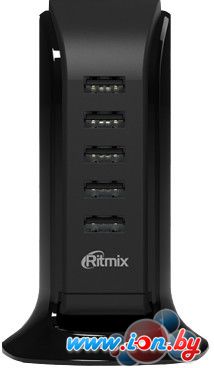 Зарядное устройство Ritmix RM-5055AC (черный) в Гродно