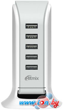 Зарядное устройство Ritmix RM-5055AC (белый) в Гомеле