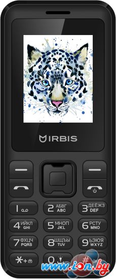 Мобильный телефон IRBIS SF50b (черный) в Бресте