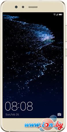 Смартфон Huawei P10 Lite 3GB/32GB (золотистый) [WAS-LX1] в Могилёве