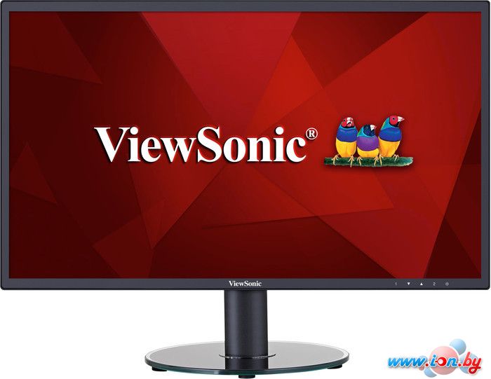 Монитор ViewSonic VA2419-sh в Витебске