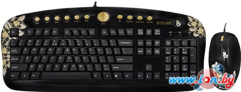 Мышь + клавиатура G-Cube Golden Sunset A4-GKSA-2803SS в Витебске