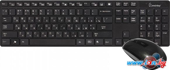 Мышь + клавиатура SmartBuy 215318AG [SBC-215318AG-K] в Гомеле