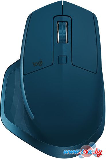 Мышь Logitech MX Master 2S (бирюзовый) [910-005140] в Могилёве