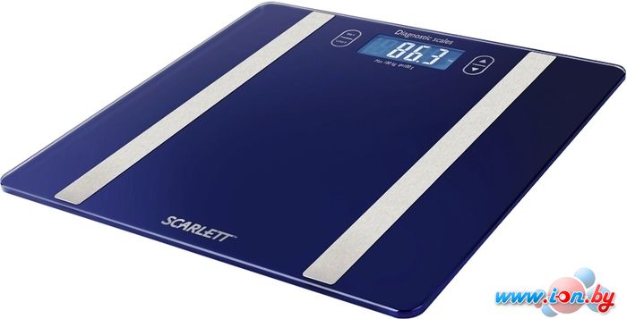 Напольные весы Scarlett SC-BS33ED82 в Бресте