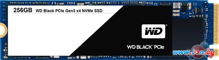 SSD WD Black PCIe 256GB [WDS256G1X0C] в Бресте