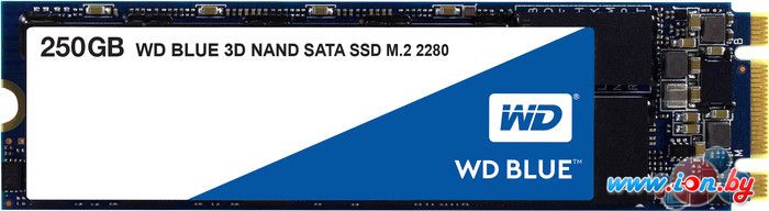 SSD WD Blue 3D NAND 250GB [WDS250G2B0B] в Бресте