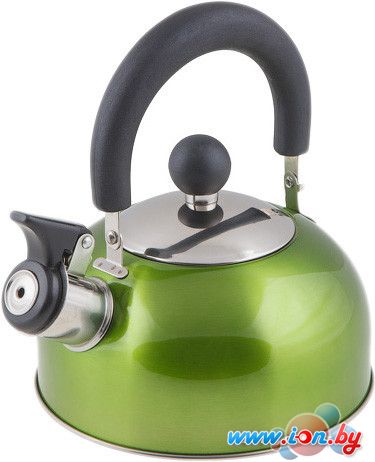 Чайник Perfecto Linea Holiday (зеленый) 52-012013 в Гомеле