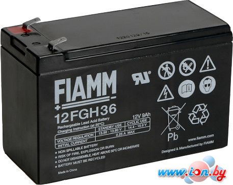 Аккумулятор для ИБП FIAMM 12FGHL34 (12В/9 А·ч) в Бресте