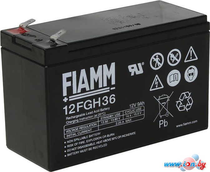 Аккумулятор для ИБП FIAMM 12FGH36 (12В/9 А·ч) в Минске