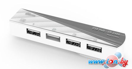 USB-хаб Ritmix CR-2406 (белый) в Гродно