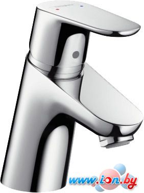 Смеситель Hansgrohe Focus E2 31730000 в Могилёве