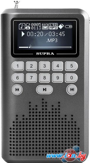 Радиоприемник Supra PAS-3907 (серый) в Гродно