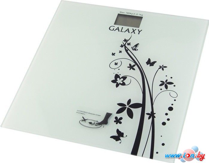Напольные весы Galaxy GL4800 в Бресте