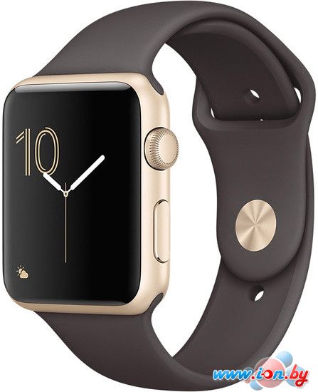 Умные часы Apple Watch Series 1 42mm Gold with Cocoa Sport Band [MNNN2] в Минске