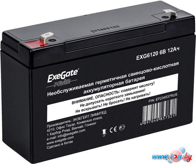 Аккумулятор для ИБП ExeGate Power EXG 6120 (6В/12 А·ч) [EP234537RUS] в Витебске