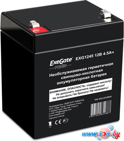 Аккумулятор для ИБП ExeGate Power EXG 1245 (12В/4.5 А·ч) [EP212310RUS] в Гомеле
