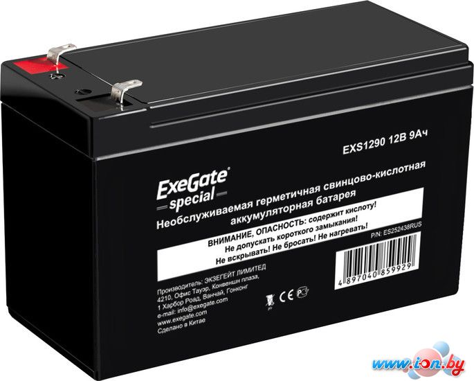 Аккумулятор для ИБП ExeGate Special EXS1290 (12В/9 А·ч) [ES252438RUS] в Могилёве