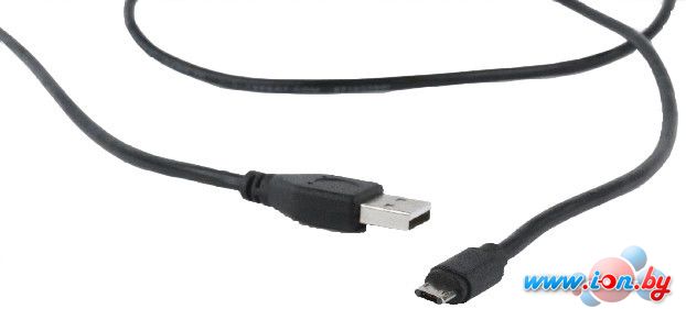 Кабель Cablexpert CC-USB2-AMmDM-6 в Бресте