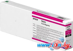 Картридж Epson C13T804300 в Минске