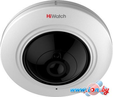 CCTV-камера HiWatch DS-T501 в Бресте