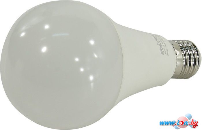 Светодиодная лампа SmartBuy A80 E27 20 Вт 6000 К [SBL-A80-20-60K-E27] в Витебске