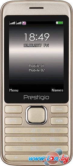 Мобильный телефон Prestigio Grace A1 (золотистый) [PFP1281DUO] в Гомеле