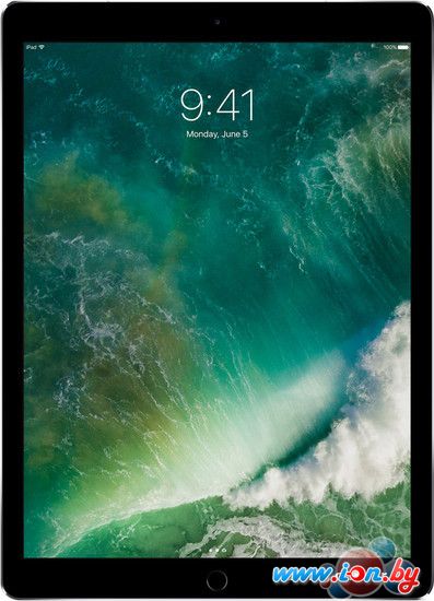 Планшет Apple iPad Pro 12.9 512GB LTE Space Gray в Гомеле
