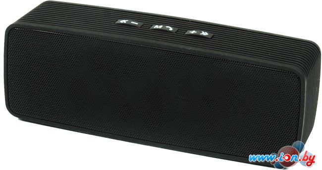 Беспроводная колонка Ritmix SP-274B в Могилёве Беспроводная колонка Ritmix SP-274B в Могилёве