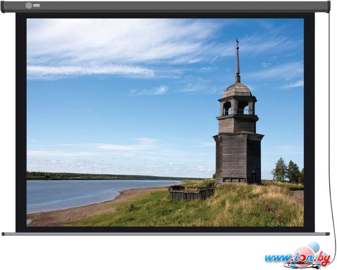 Проекционный экран CACTUS Professional Motoscreen CS-PSPM-124x221 в Гродно