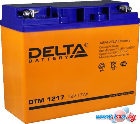 Аккумулятор для ИБП Delta DTM 1217 (12В/17 А·ч) в Гомеле