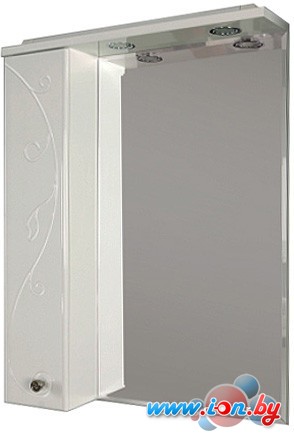 Акватон Шкаф с зеркалом Лиана 60 [1A162702LL01L] в Могилёве