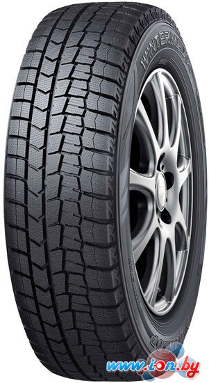 Автомобильные шины Dunlop Winter Maxx WM02 215/50R17 95T в Могилёве