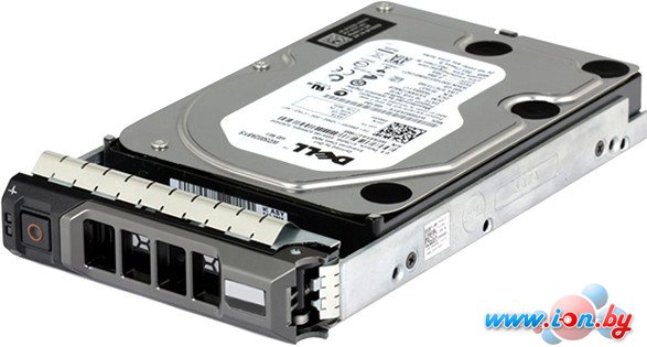 Жесткий диск Dell 8TB [400-AMPG] в Бресте