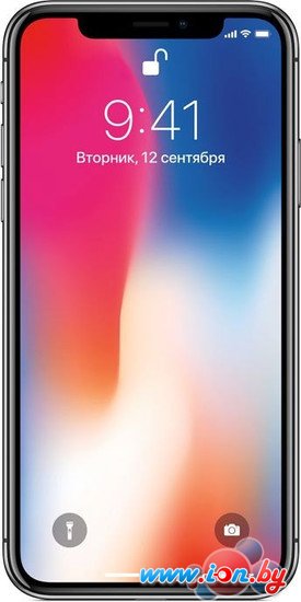 Смартфон Apple iPhone X 64GB (серый космос) в Витебске
