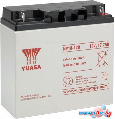 Аккумулятор для ИБП Yuasa NP18-12 (12В/17.2 А·ч) в Бресте