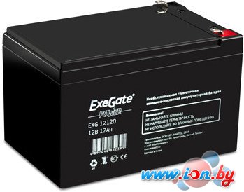 Аккумулятор для ИБП ExeGate Power EXG 12120 (12В/12 А·ч) [EP160757RUS] в Витебске